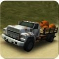 Dirt Road Trucker 3D游戏中文版