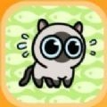 冒险猫抖音游戏安卓版