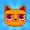 惊慌的猫游戏正式版