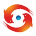 物流保险师手机版