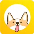 日常小打卡安卓最新版