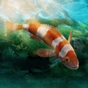 水族设计师手机版