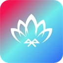 宝莲灯app官网版