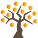 扶桑影视最新版下载-扶桑影视最新安卓版