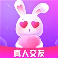 碰巧交友安卓版