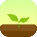 forest专注森林官网版