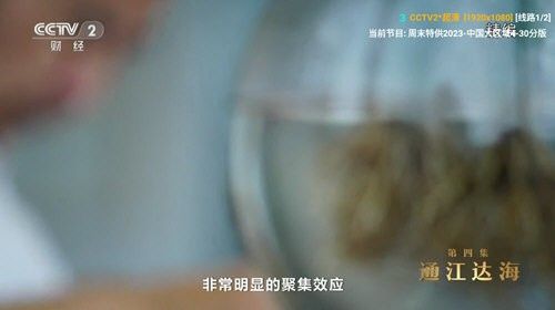 V3TV电视安卓版 v3.0.36(3)
