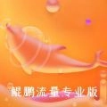 鲲鹏流量卡官网版