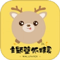 壁纸大全鸭