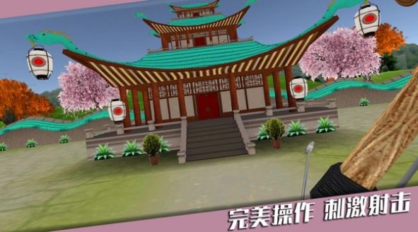 靶心射击(3)