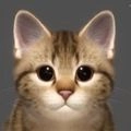 西山居ProjectCat游戏安卓版