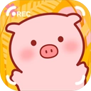 美食家小猪的大冒险最新版