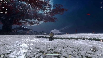 魂之追梦(3)