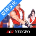 真饿狼传说特别版官方版