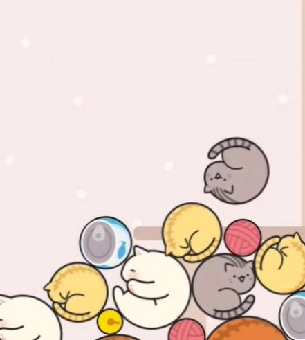 猫咪趣味合成(1)