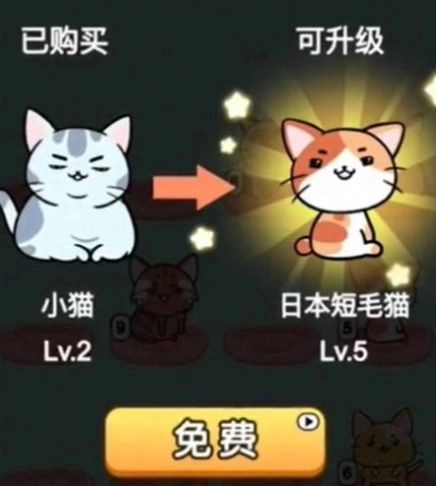猫咪趣味合成(2)