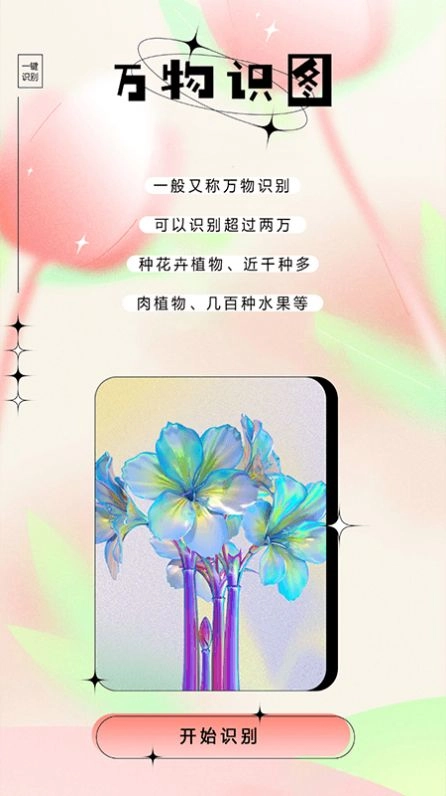 万物识图大师免费版(1)