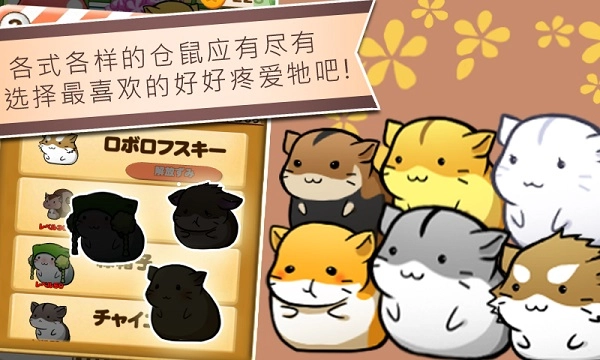 仓鼠的日常中文版(1)