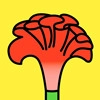 鸡冠花app