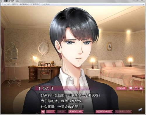 鸟笼婚姻汉化版(2)