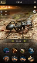 超能蚁团最新版截图4