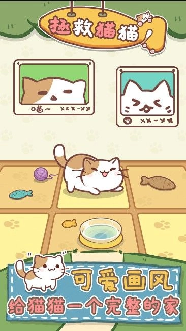 拯救猫猫(3)