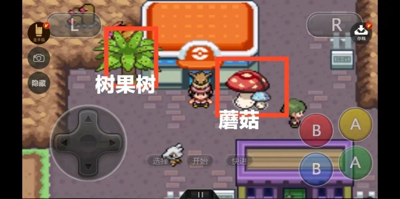 口袋妖怪永恒之焱xyz神兽版(1)