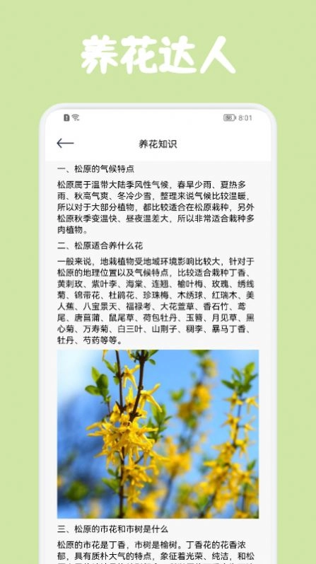 识花拍照帮(1)