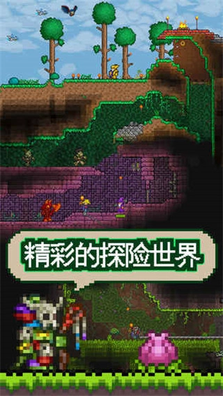 泰拉瑞亚最新版本1.5.6图3