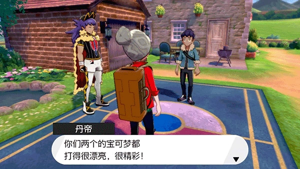 口袋妖怪剑盾汉化版(1)
