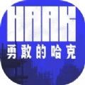 勇敢的哈克雷霆游戏