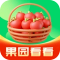 果园看看红包版