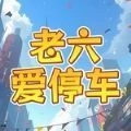 老六爱停车最新版