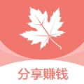 枫叶网手机版