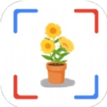花朵识别软件免费 