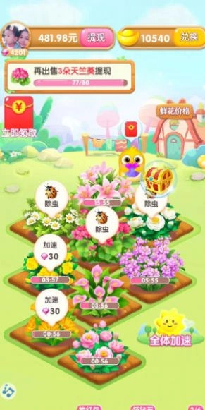 四季养花红包版图1