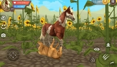 WildCraft安卓版图2