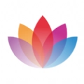 花伴侣 