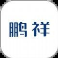 鹏祥智慧保安软件