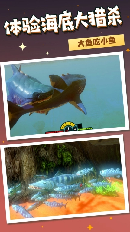 海洋猎杀进化(2)
