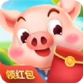 一起来养猪 