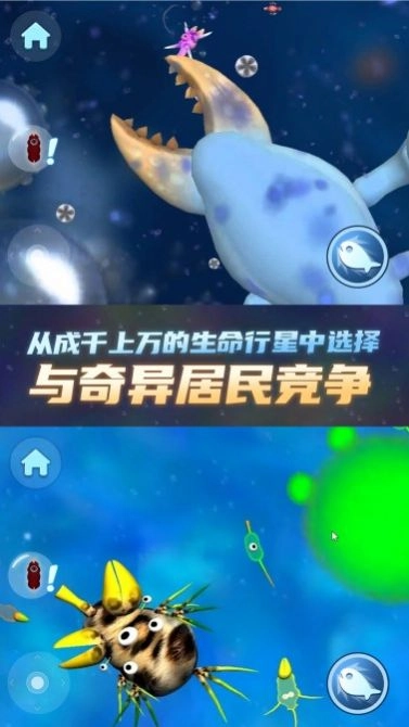 物种进化器(2)