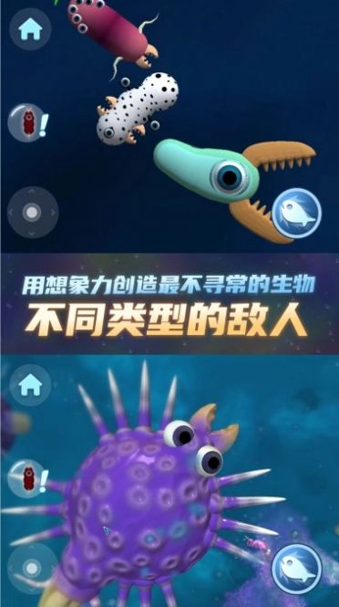 物种进化器(3)