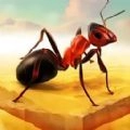 奇妙动物世界探险最新版