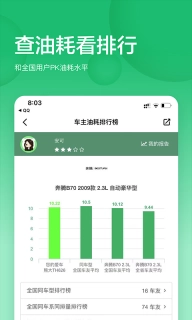 小熊油耗图5