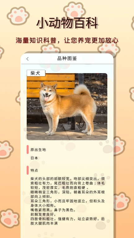 小动物之星 v0.70.0 安卓版