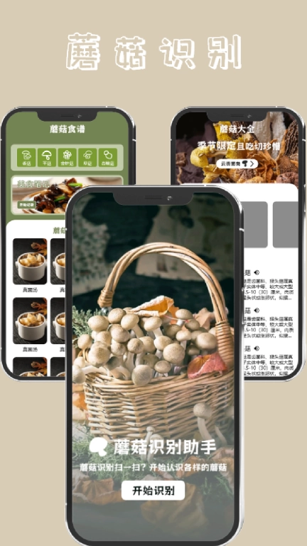 蘑菇识别图4
