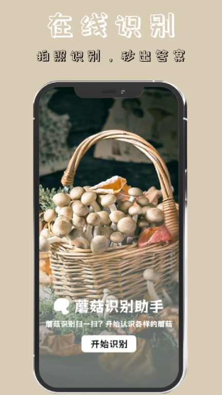 蘑菇识别图1