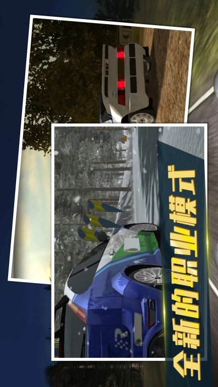 拉力赛车3中文版