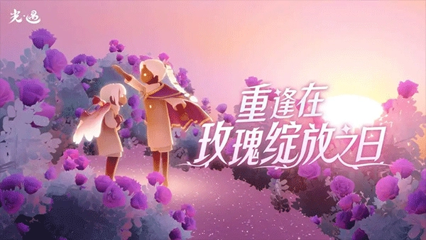 sky光遇(全物品)解锁版(3)